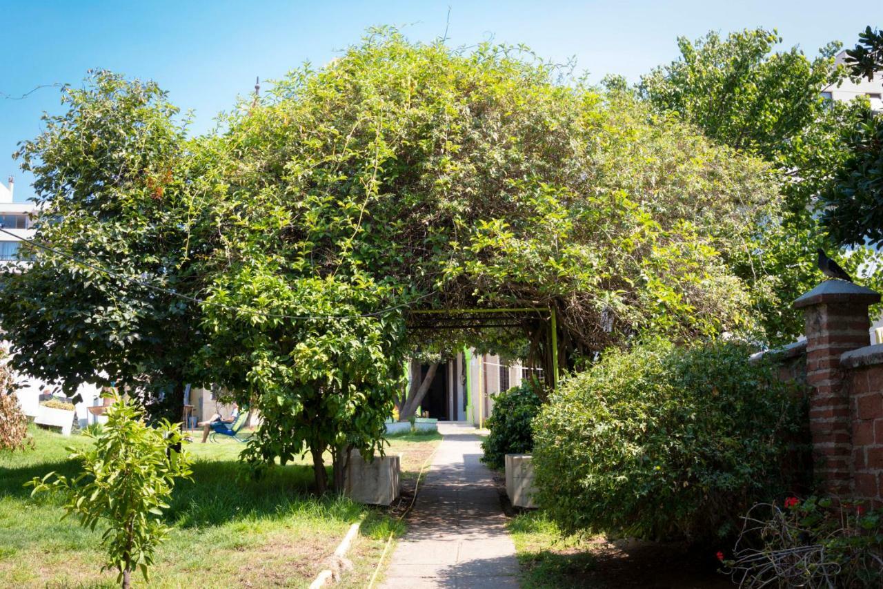 Vina City Hostel II Виня дел Мар Екстериор снимка